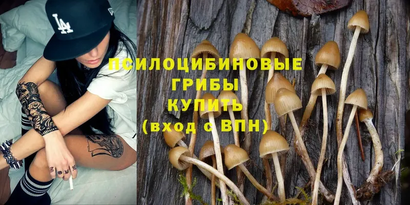 Псилоцибиновые грибы Magic Shrooms  Бодайбо 